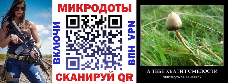 Псилоцибиновые грибы мухоморы  Сураж 